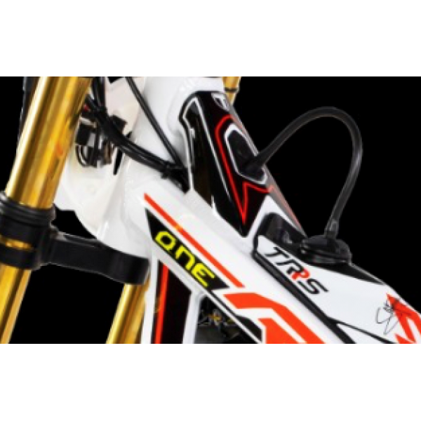 Adesivo Telaio Superiore TRS RR 2019